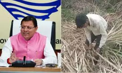 Dehradun: गन्ना मूल्य वृद्धि का आदेश, किसानों को मिलेगा लाभ