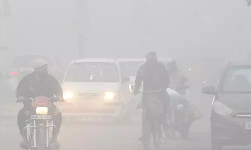 Haryana में कड़ाके की ठंड पड़ रही है, फरीदकोट 2.5 डिग्री सेल्सियस के साथ सबसे ठंडा रहा
