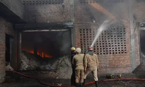 Ludhiana: पशु चारा संयंत्र में भीषण आग लग गई