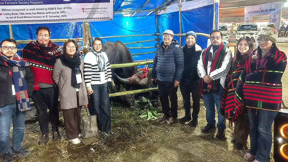 Nagaland : किसामा में मिथुन शो ने मिथुन पर रोशनी डाली