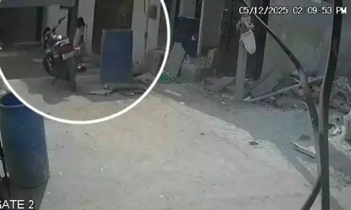 Pahari Sharif में आवारा कुत्तों ने आठ साल की बच्ची पर हमला किया