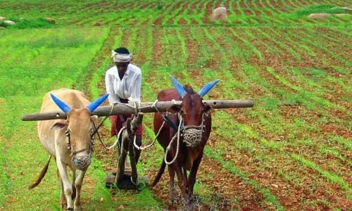 Munde scheme में दुर्घटना प्रभावित किसानों के वारिसों के लिए ऑनलाइन आवेदन पर छूट