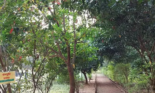 झारग्राम में Horti-tourism: पर्यटकों के लिए नया विंटर आकर्षण झारग्राम में Horti-tourism: पर्यटकों के लिए नया विंटर आकर्षण