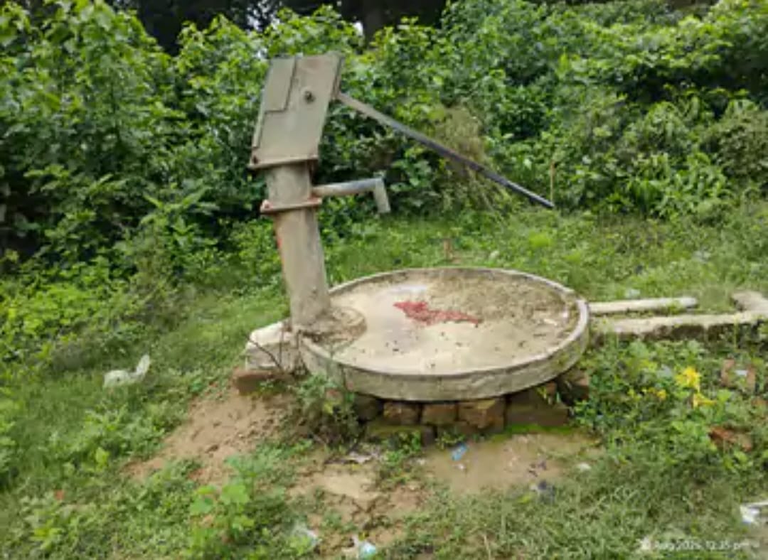 सरकारी जमीन अतिक्रमण पर पार्षद-रहवासियों ने Collector को दिया ज्ञापन