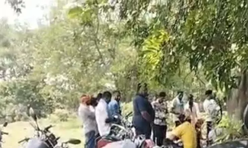 CG: जंगलों में फल-फूल रहा करोड़ों का जुआ साम्राज्य, हरिराम साहू का नेटवर्क बेखौफ