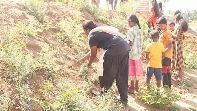 2.24 करोड़ ताड़ के बीज लगाए गए: तमिलनाडु सरकार की जानकारी 2.24 करोड़ ताड़ के बीज लगाए गए: तमिलनाडु सरकार की जानकारी
