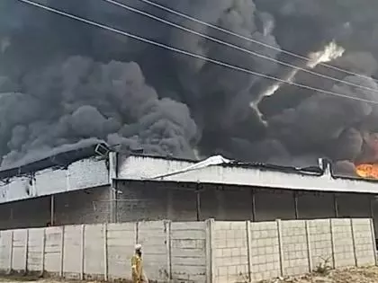 Kotawali देहात में डिस्पोजेबल प्लेट्स बनाने वाली कंपनी में भीषण आग लग गई Kotawali देहात में डिस्पोजेबल प्लेट्स बनाने वाली कंपनी में भीषण आग लग गई