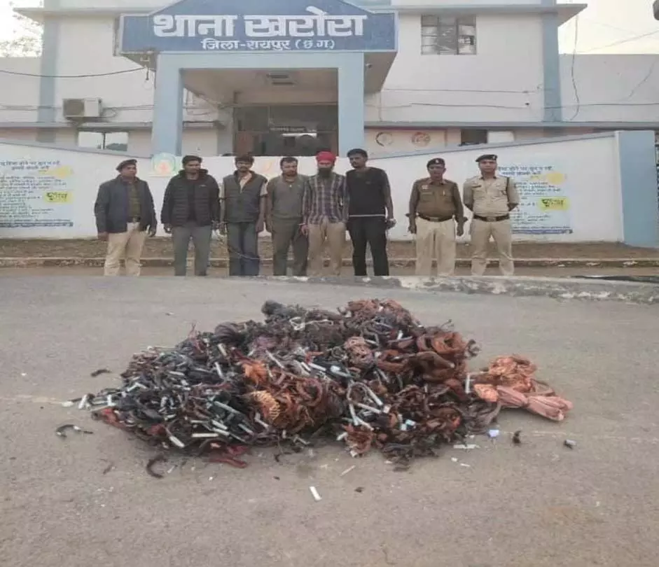 Raipur Breaking: पावर प्लांट रायखेड़ा में लाखों की तांबा केबल चोरी का खुलासा Raipur Breaking: पावर प्लांट रायखेड़ा में लाखों की तांबा केबल चोरी का खुलासा