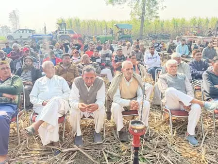 खेतों में चौपाल: योगी सरकार की नीतियों से किसानों के जीवन में उन्नति पर चर्चा खेतों में चौपाल: योगी सरकार की नीतियों से किसानों के जीवन में उन्नति पर चर्चा