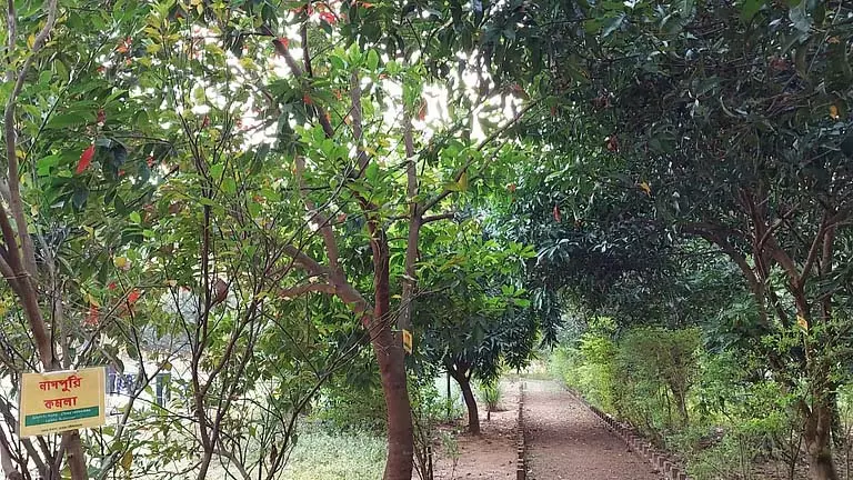 झारग्राम में Horti-tourism: पर्यटकों के लिए नया विंटर आकर्षण झारग्राम में Horti-tourism: पर्यटकों के लिए नया विंटर आकर्षण