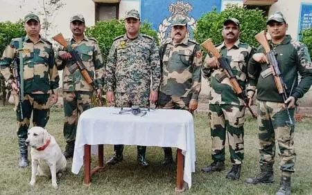 बीएसएफ ने तीन पाकिस्तानी ड्रोनों को किया निष्क्रिय, भारी मात्रा में हेरोइन बरामद बीएसएफ ने तीन पाकिस्तानी ड्रोनों को किया निष्क्रिय, भारी मात्रा में हेरोइन बरामद
