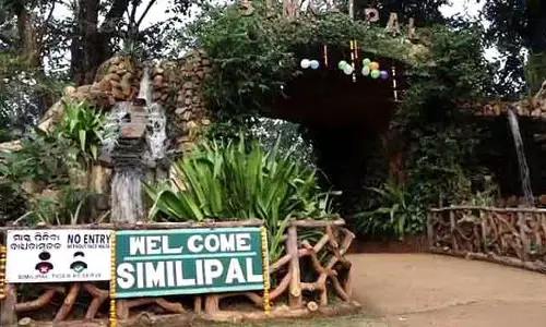 Similipal में तापमान 2°C पर पहुंच गया। Similipal में तापमान 2°C पर पहुंच गया।