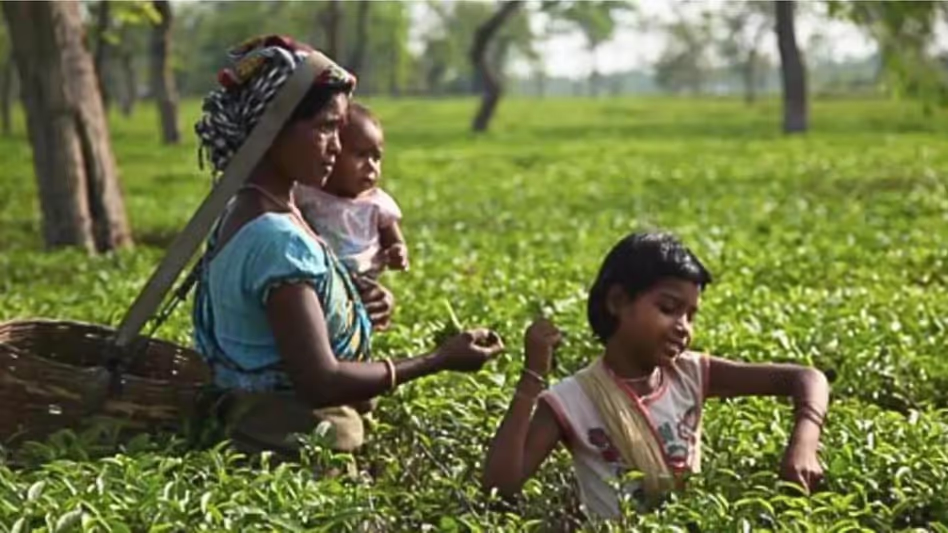 असम ने ST, SC, चाय बागान, मोरान और माटक समुदायों के लिए दो-बच्चे वाली नीति में ढील दी