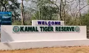 Telangana : वन विभाग कवाल के लिए नया टाइगर कॉरिडोर बनाने की योजना बना रहा