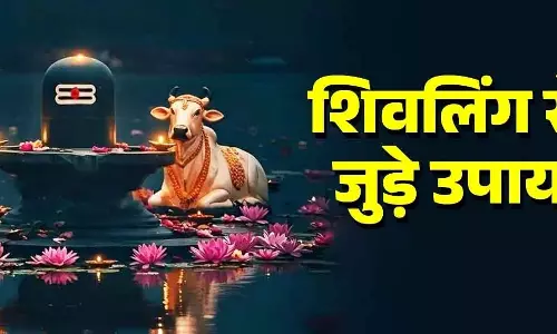 Pausha Putrada Ekadashi पर शिवलिंग में चढ़ाएं ये चीजें, मिलेगी श्रीहरि की कृपा Pausha Putrada Ekadashi पर शिवलिंग में चढ़ाएं ये चीजें, मिलेगी श्रीहरि की कृपा