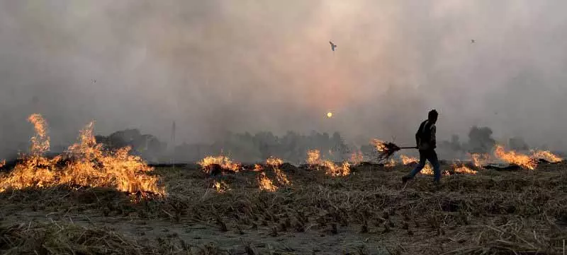 Doaba में पराली जलाने के मामलों में 55% की गिरावट दर्ज की गई Doaba में पराली जलाने के मामलों में 55% की गिरावट दर्ज की गई