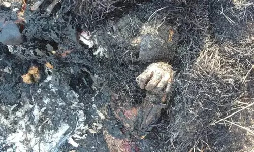 युवती की हत्या के बाद जलाया शव, नहर के पास मिली अधजली लाश