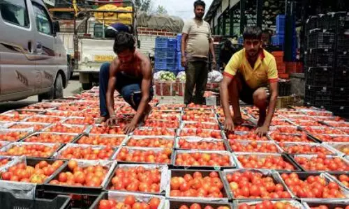 नवंबर में वेज और नॉन-वेज थाली की कीमतों में 13% की गिरावट