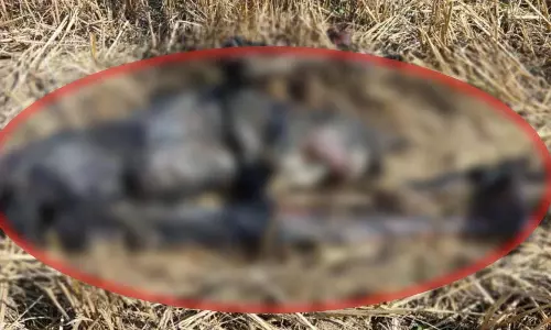 10 दिन से लापता वृद्ध का जंगल में मिला कंकालनुमा शव