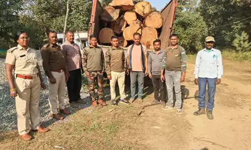 रामानुजगंज में 3 लाख की अवैध साल लट्ठा जब्त, ड्राइवर फरार रामानुजगंज में 3 लाख की अवैध साल लट्ठा जब्त, ड्राइवर फरार