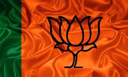 बलरामपुर-रामानुजगंज भाजपा ने 13 मंडलों में नए प्रभारियों और सह-प्रभारियों की नियुक्ति की