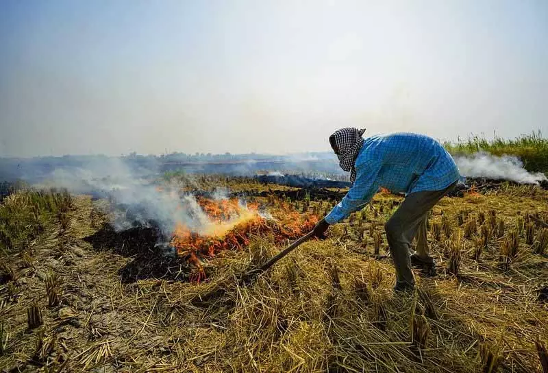 Punjab में पराली जलाने की घटनाओं में 54% की गिरावट, तरनतारन ने संगरूर को पीछे छोड़ा Punjab में पराली जलाने की घटनाओं में 54% की गिरावट, तरनतारन ने संगरूर को पीछे छोड़ा