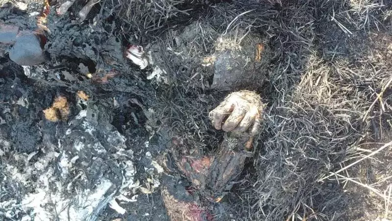 युवती की हत्या के बाद जलाया शव, नहर के पास मिली अधजली लाश युवती की हत्या के बाद जलाया शव, नहर के पास मिली अधजली लाश