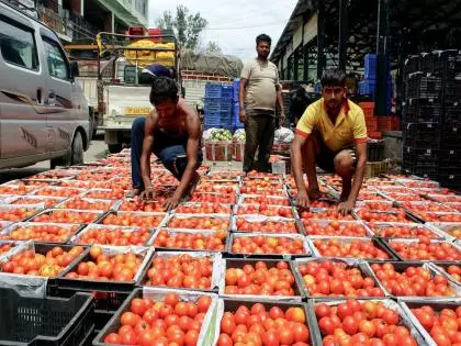 नवंबर में वेज और नॉन-वेज थाली की कीमतों में 13% की गिरावट नवंबर में वेज और नॉन-वेज थाली की कीमतों में 13% की गिरावट