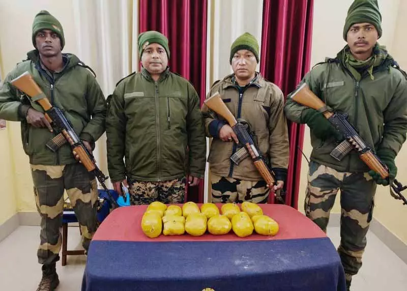 BSF ने नार्को-टेरर की कोशिश नाकाम की, इंटरनेशनल बॉर्डर के पास से 6.6 किलो हेरोइन ज़ब्त की BSF ने नार्को-टेरर की कोशिश नाकाम की, इंटरनेशनल बॉर्डर के पास से 6.6 किलो हेरोइन ज़ब्त की