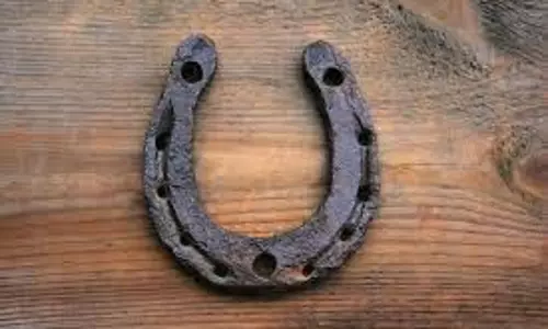Horse Shoe for Home: दरवाजे पर घोड़े की नाल लगाते समय इन बातों का रखें ध्यान Horse Shoe for Home: दरवाजे पर घोड़े की नाल लगाते समय इन बातों का रखें ध्यान