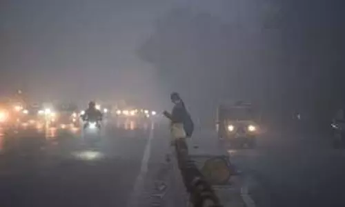 MP Weather: 9 जिलों में शीतलहर का यलो अलर्ट
