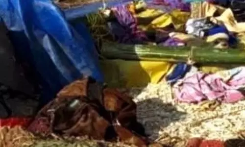 नवजात को हाथी ने कुचला, झोपड़ी को किया तहस-नहस नवजात को हाथी ने कुचला, झोपड़ी को किया तहस-नहस