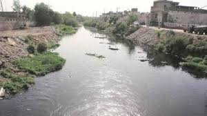Ludhiana : 6 डिस्चार्ज पॉइंट से निकलने वाला कचरा अभी भी बुड्ढा नाले को प्रदूषित कर रहा