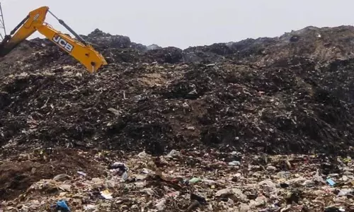 NGT ने PPCB को संगरूर के कचरा डंप का सर्वे करने और रिपोर्ट दाखिल करने को कहा NGT ने PPCB को संगरूर के कचरा डंप का सर्वे करने और रिपोर्ट दाखिल करने को कहा