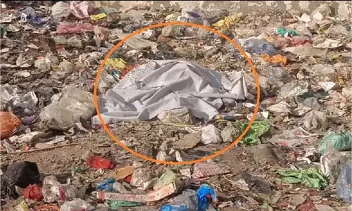 Panipat:खाली प्लॉट में नवजात बच्ची के शव का कुत्ते ने किया बुरा हाल