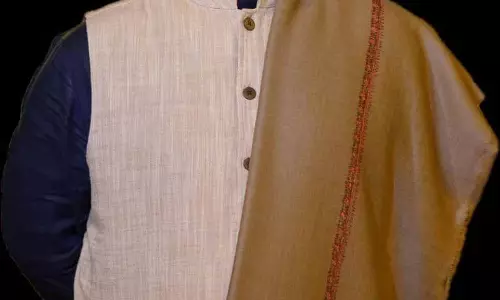 सलाहकार समिति में शामिल होने के बाद Dr. Arya ने हिंदी को मज़बूत करने का विज़न पेश किया