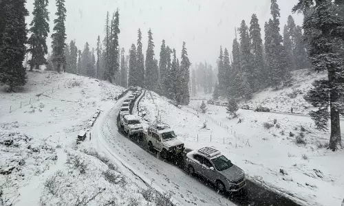 Shimla: बर्फबारी के लिए धैर्य रखें, अगले सप्ताह तक मौसम रहेगा सुहावना