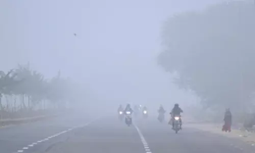 Rajasthan के पांच जिलों में शीतलहर का येलो अलर्ट