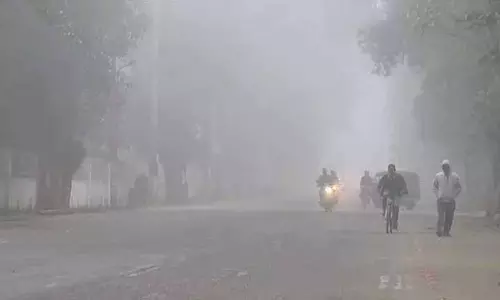 Odisha में ठंड बढ़ी, 11 जगहों पर रात का तापमान 10°C से नीचे गिरा Odisha में ठंड बढ़ी, 11 जगहों पर रात का तापमान 10°C से नीचे गिरा