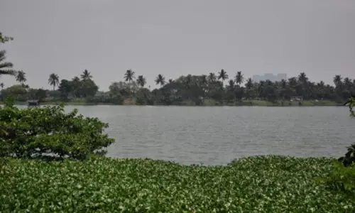 वेटलैंड्स संरक्षण के लिए Kolkata में सख्ती, अवैध निर्माण पर कनेक्शन नहीं