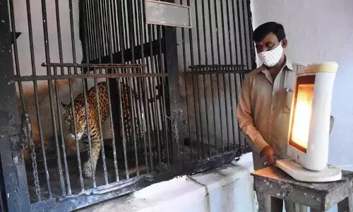 Hyderabad में शीतलहर के चलते नेहरू चिड़ियाघर में हीटर और गर्म शेल्टर लगाए गए हैं