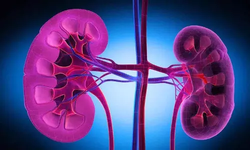 Kidney नी की बीमारी के लक्षण, अगर आपको ये लक्षण हैं तो बेहतर होगा कि आप अपने डॉक्टर से जांच करवाएं।