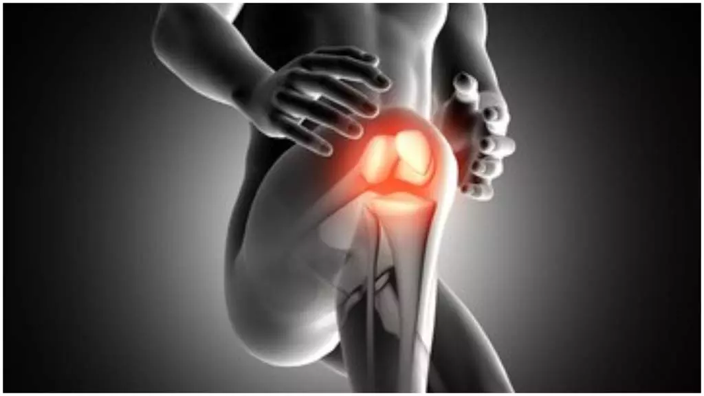 Yoga Tips: रोज सिर्फ 15 मिनट करें सूर्य नमस्कार और देखें 10 चमत्कार Yoga Tips: रोज सिर्फ 15 मिनट करें सूर्य नमस्कार और देखें 10 चमत्कार