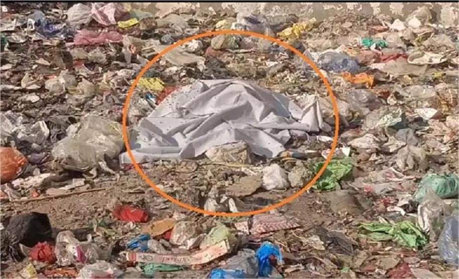 Panipat:खाली प्लॉट में नवजात बच्ची के शव का कुत्ते ने किया बुरा हाल Panipat:खाली प्लॉट में नवजात बच्ची के शव का कुत्ते ने किया बुरा हाल