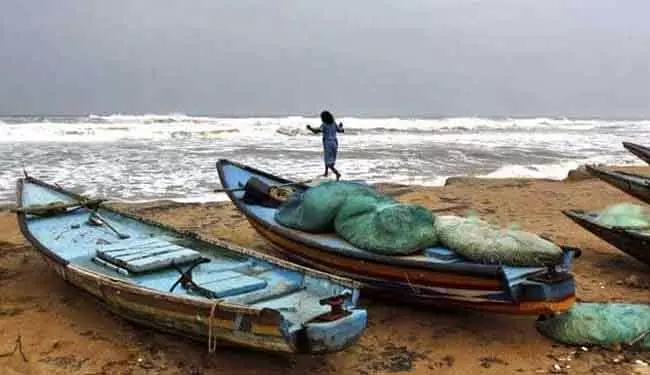 Gahirmatha: अवैध मछली पकड़ने के आरोप में 17 लोग गिरफ्तार Gahirmatha: अवैध मछली पकड़ने के आरोप में 17 लोग गिरफ्तार
