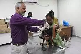 Tamil Nadu पालतू कुत्तों के लाइसेंस की डेडलाइन 14 दिसंबर तक बढ़ाई गई Tamil Nadu पालतू कुत्तों के लाइसेंस की डेडलाइन 14 दिसंबर तक बढ़ाई गई
