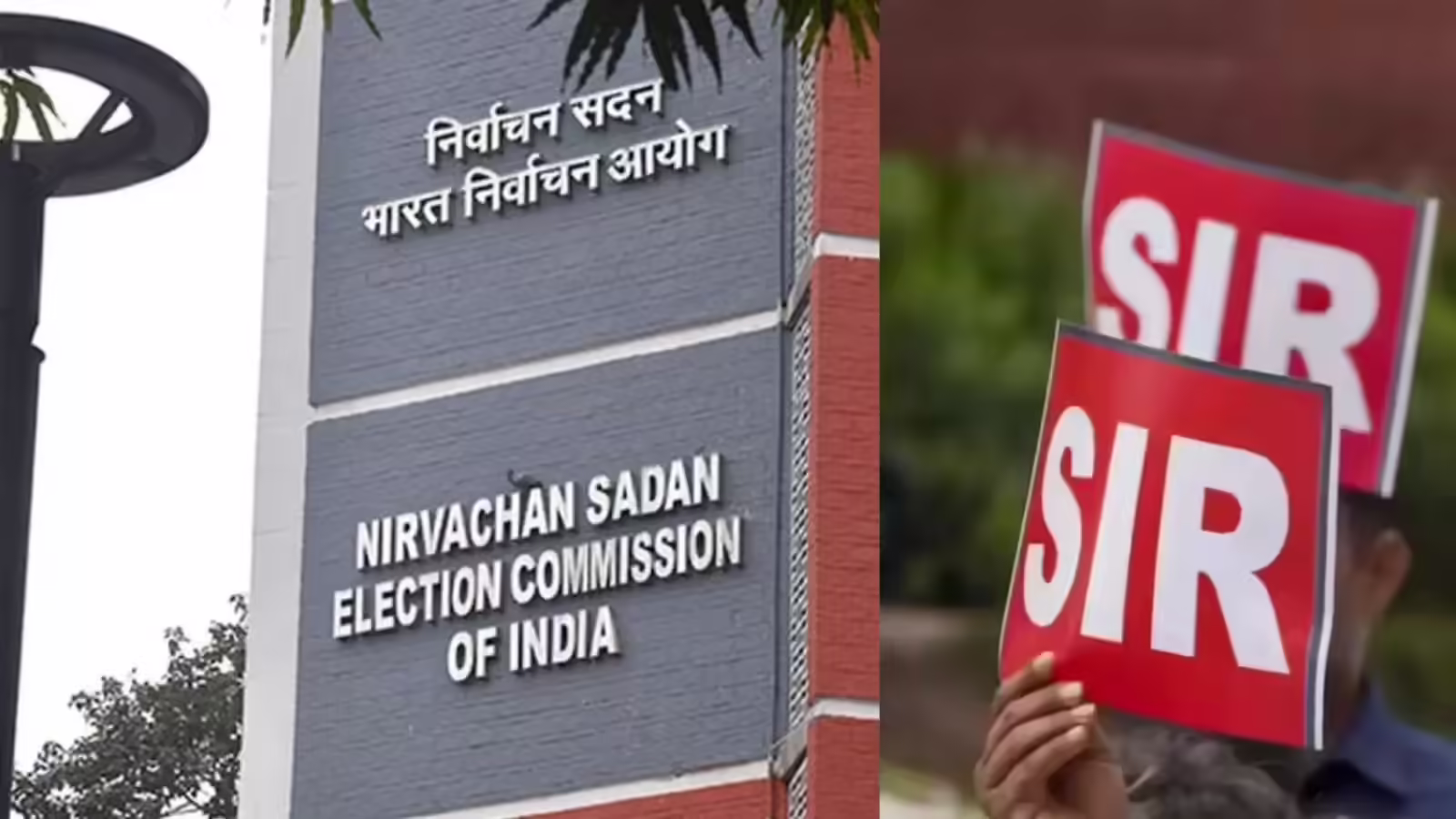Jabalpur: जिले की सफलता की खबर, तीन दिन पहले हुई उपलब्धि Jabalpur: जिले की सफलता की खबर, तीन दिन पहले हुई उपलब्धि