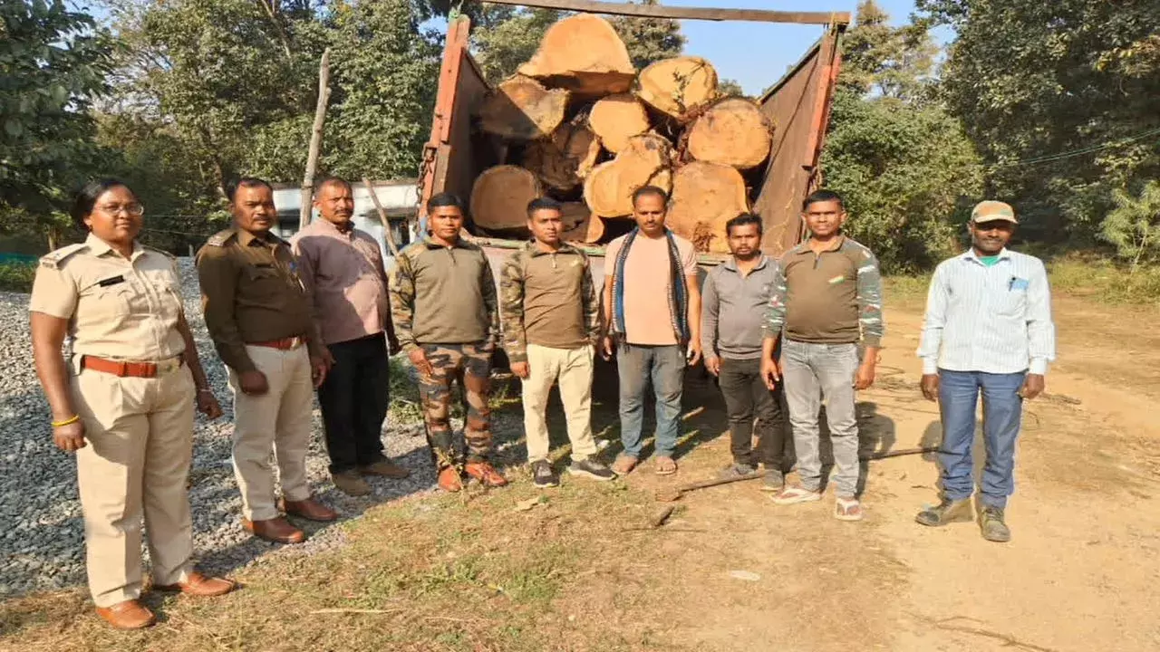 ट्रक से साल के बड़े-बड़े लट्ठे जब्त, बलरामपुर में तस्करी नाकाम ट्रक से साल के बड़े-बड़े लट्ठे जब्त, बलरामपुर में तस्करी नाकाम