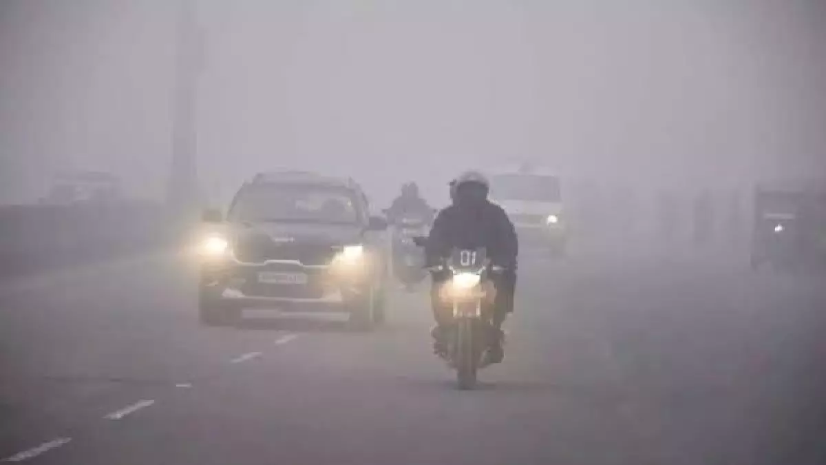 Bhopal: एमपी में मौसम बदला, ठंड से जनजीवन प्रभावित Bhopal: एमपी में मौसम बदला, ठंड से जनजीवन प्रभावित