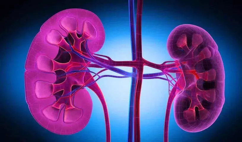 Kidney नी की बीमारी के लक्षण, अगर आपको ये लक्षण हैं तो बेहतर होगा कि आप अपने डॉक्टर से जांच करवाएं। Kidney नी की बीमारी के लक्षण, अगर आपको ये लक्षण हैं तो बेहतर होगा कि आप अपने डॉक्टर से जांच करवाएं।